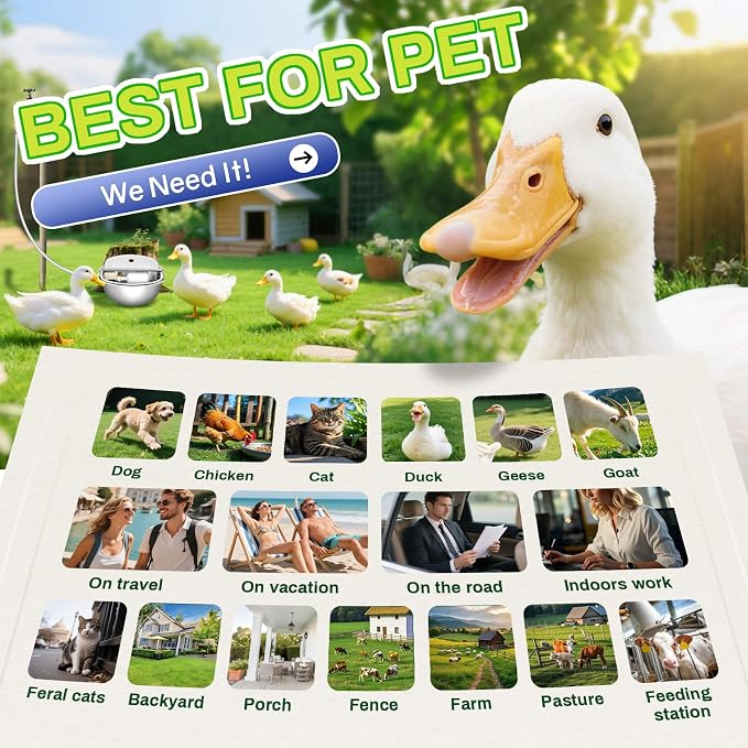 Automatic Animal Drinking Water Bowl - Image 7