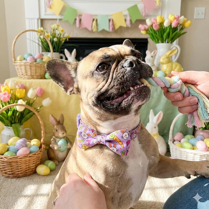 Easter Dog Collar with Bow Tie Set, Adjustable Purple Bunny and Carrot Pattern - Image 6