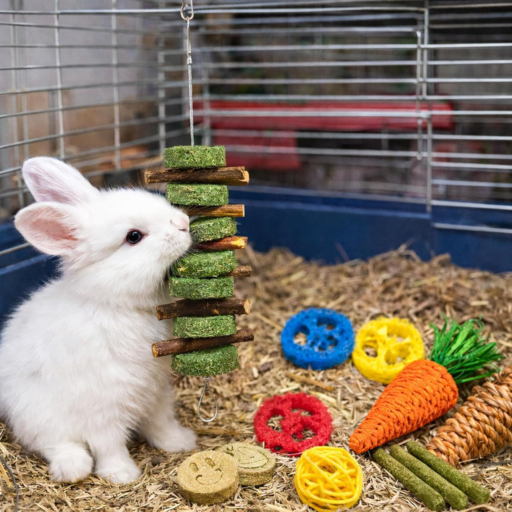 Grddaef 20 PCS Bunny Chew Toys, Apple Wood and Timothy Sticks - GlobalHabitat Supply