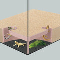 Aquarium Cave Hideout with Viewing Window by CPLIKE