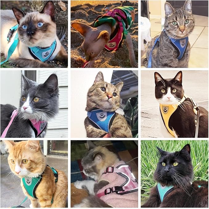 PUPTECK Cat Harness and Leash Set Escape Proof Reflective Cat Walking Harness - Image 8