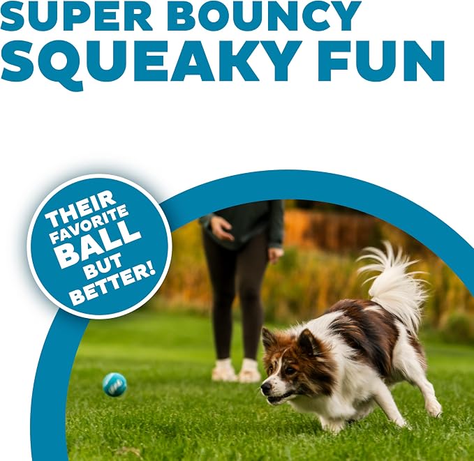 Outward Hound Squeaker Ballz – Squeaky Tennis Balls - Image 2