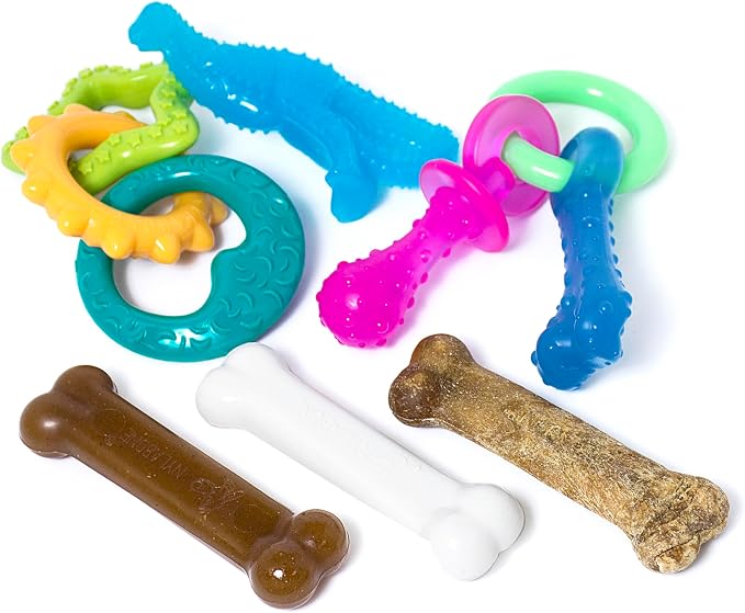 Nylabone New Puppy Starter Kit, 5 Chew Toys and 1 Natural Treat by Nylabone