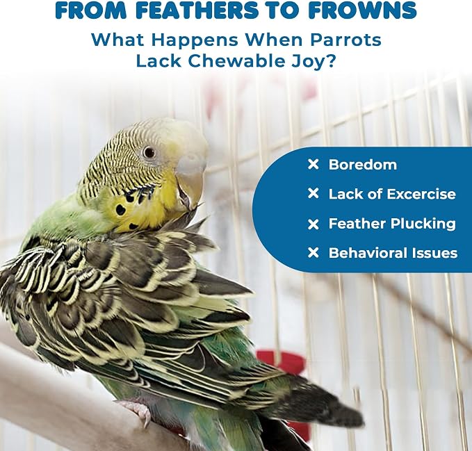 SunGrow Parrot Swing and Perch Bundle, Keep Birds from Hatching Plans - Image 6