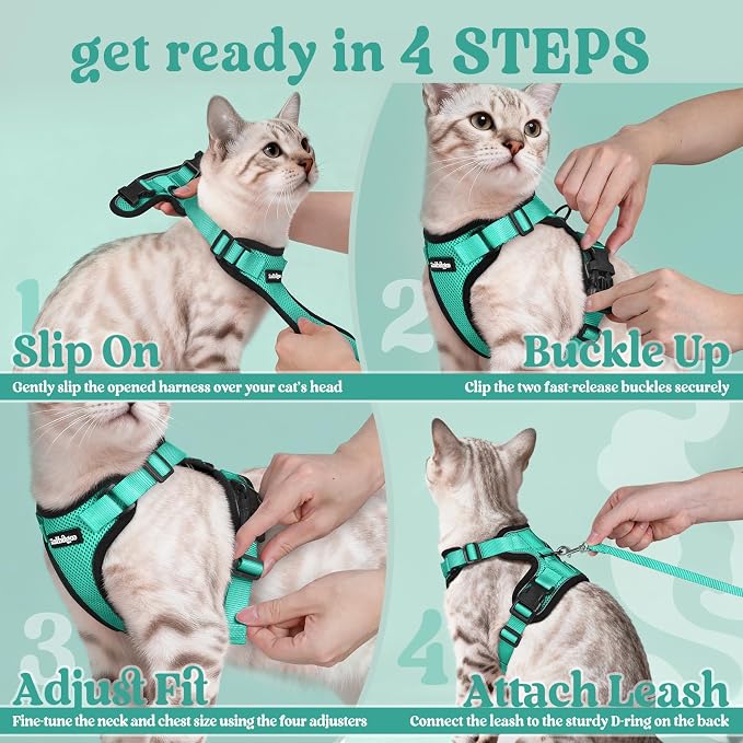 rabbitgoo Cat Harness and Leash - Image 8
