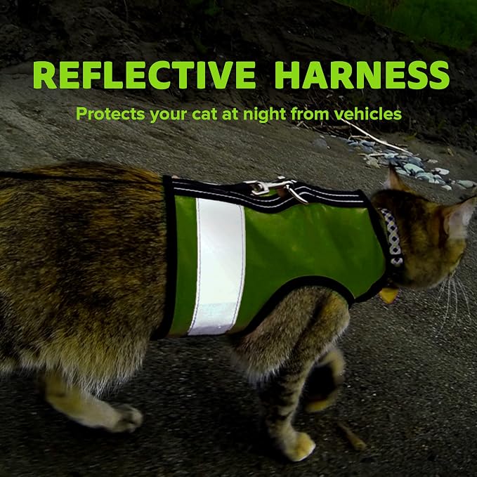 Kitty Holster Reflective Cat Harness – High-Visibility Cat Harness - Image 6