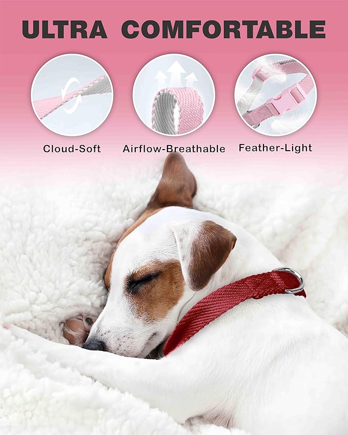 Dynmeow Soft and Breathable Cotton Dog Collar, Durable Adjustable Pet Collar - Image 4