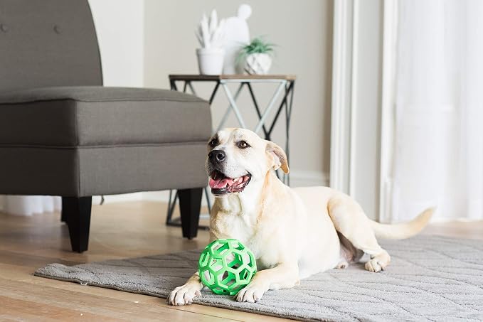 JW Pet Hol-ee Roller Dog Toy Puzzle Ball, Natural Rubber, Colors May Vary - Image 2