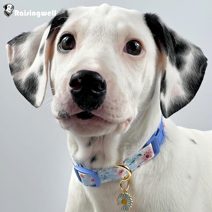 Cotton Dog Collar Blue Flower Pattern - Image 5