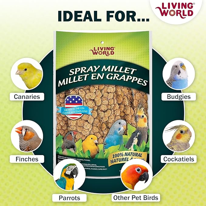 Living World – Millet Spray for Birds, 5 Pounds – Premium Treat for Budgies - Image 4