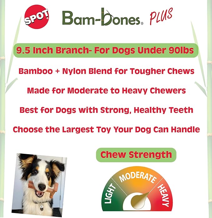 SPOT Bam-Bones Plus Branch -Bamboo Fiber & Nylon, Durable Long Lasting Dog Chew - Image 3