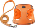 Dog Harness with Leash Set, No Pull Adjustable Reflective Step-in Puppy Pet by BOOMIBOO