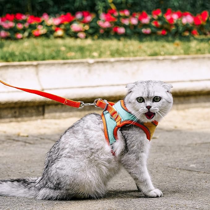 JSXD Cat Harness, Leash and Collar Set, Escape Proof Kitten Vest Harness - Image 3