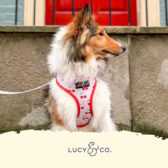 Lucy & Co. Cheery Cherries, Cute Reversible Dog Harness Walking Halter - Image 5