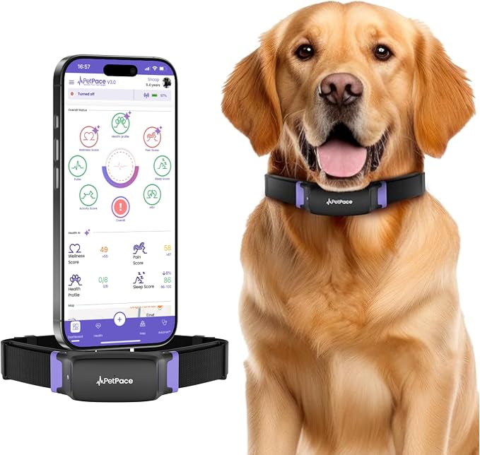 NEW Dog Health Monitor V3.0 by PetPace – AI Smart Collar by PetPace30AiHealthCollar