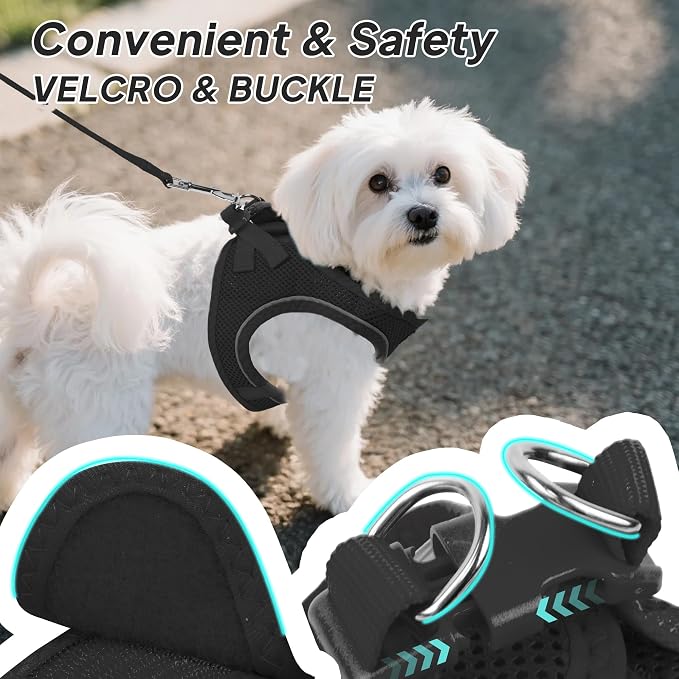PetiFine Step in Small Dog Harness and Leash Set, Breathable All Weather Air - Image 3