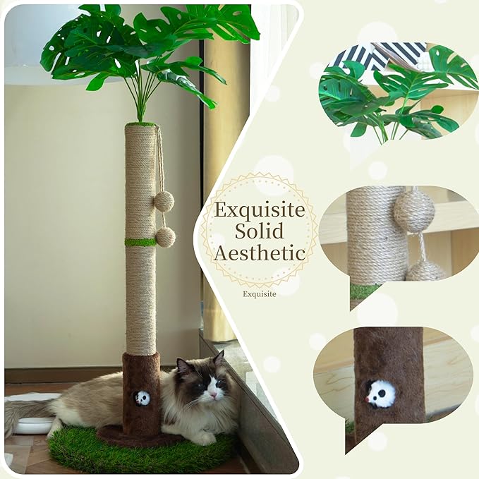 Cat Scratching Post for Indoor Cats and Kitten - Image 2