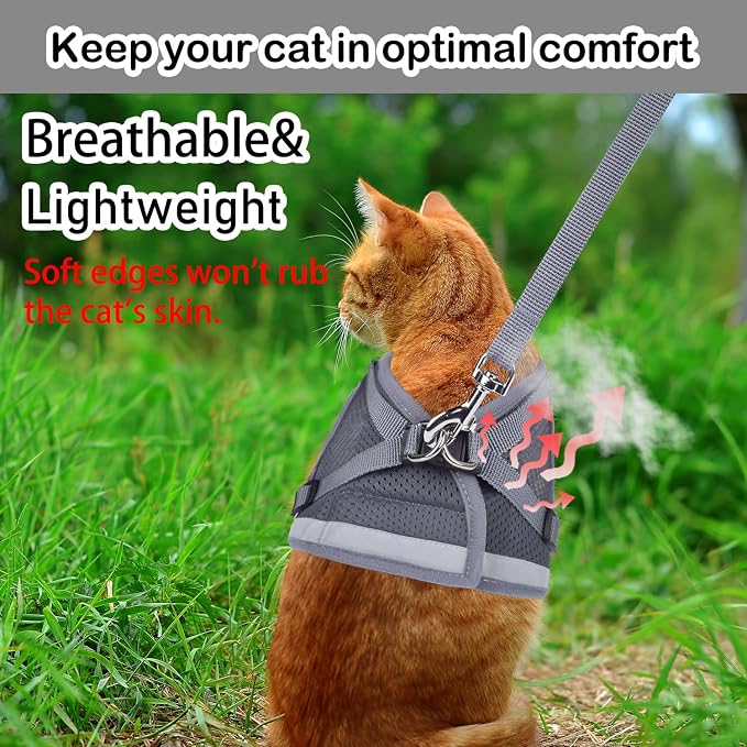 Cat Harnesses and Puppy Harness - Image 2