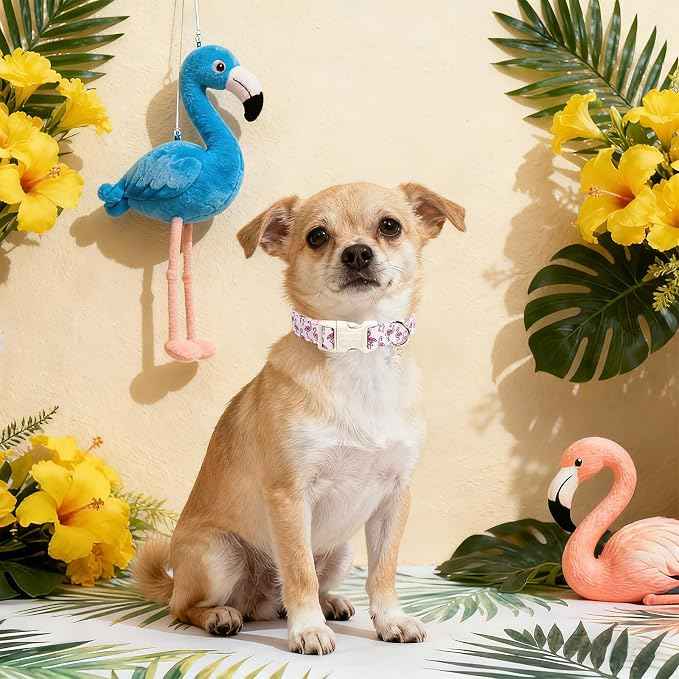 DOGWONG Cute Pet Dog Collar Pink Flamingos Cotton Dog Collar- Soft Girl Puppy