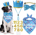 Dog Birthday Party Supplies by JOTFA