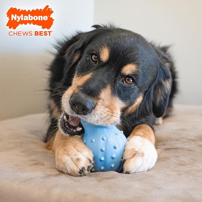 Nylabone Treatin' Cone Strong Stuffable Chew Toy - Image 2