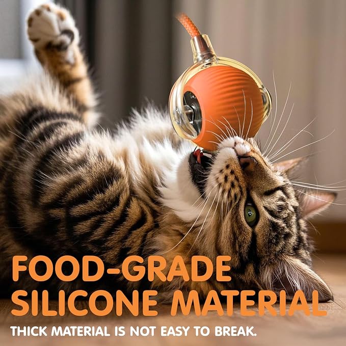 Rocfish Durable Interactive Cat Toys - Image 5