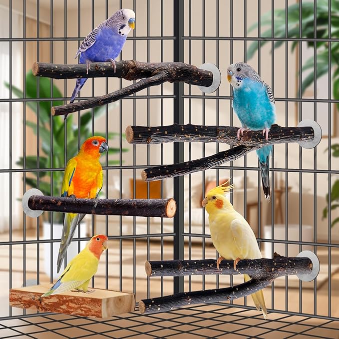 Bird Toys Parakeet Perch Budgie Perch Wood Stand Fork Toys Multi-Branch Perch - Image 3