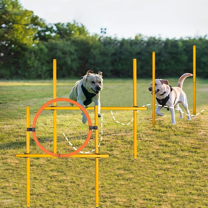 TNZMART 2.6 FT Dog Agility Obstacle Course Backyard Set - Image 2