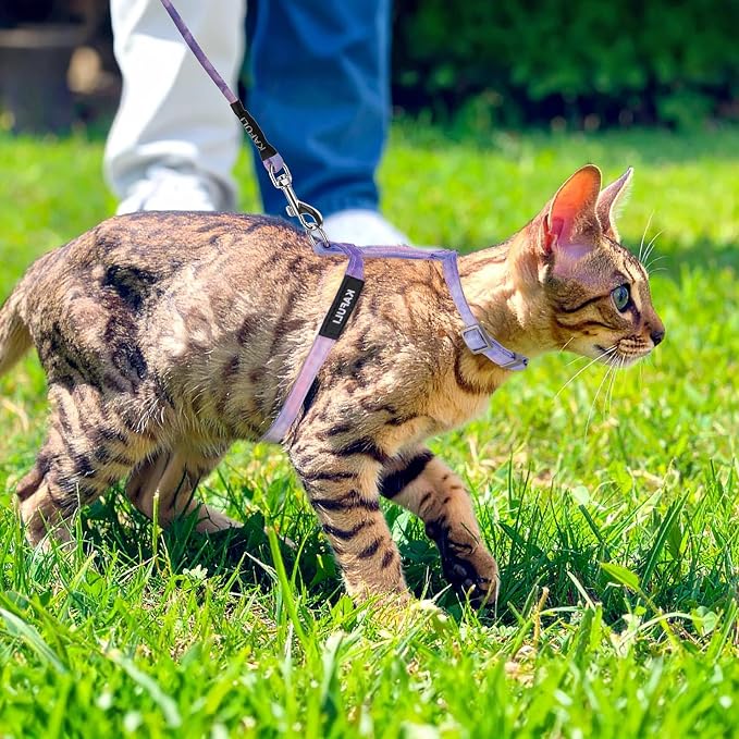 Cat Harness and Leash for Walking Escape Proof Adjustable Soft Harnesses and - Image 6