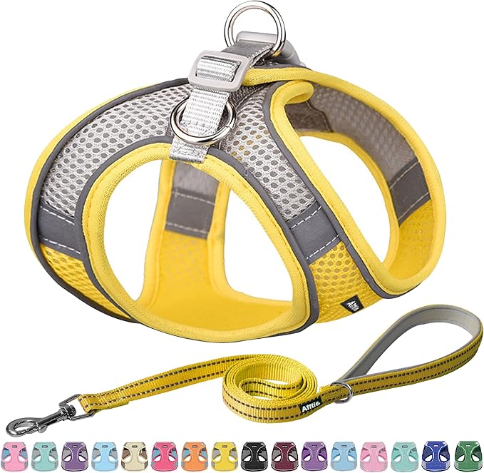 AIITLE Small Harness for Puppy by AIITLE-FORPETSBETTERLIFE