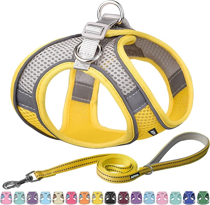 AIITLE No Pull Dog Harness and Leash Set, Step in Adjustable Dog Harness by AIITLE-FORPETSBETTERLIFE