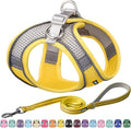 AIITLE No Pull Dog Harness and Leash Set, Step in Adjustable Dog Harness by AIITLE-FORPETSBETTERLIFE
