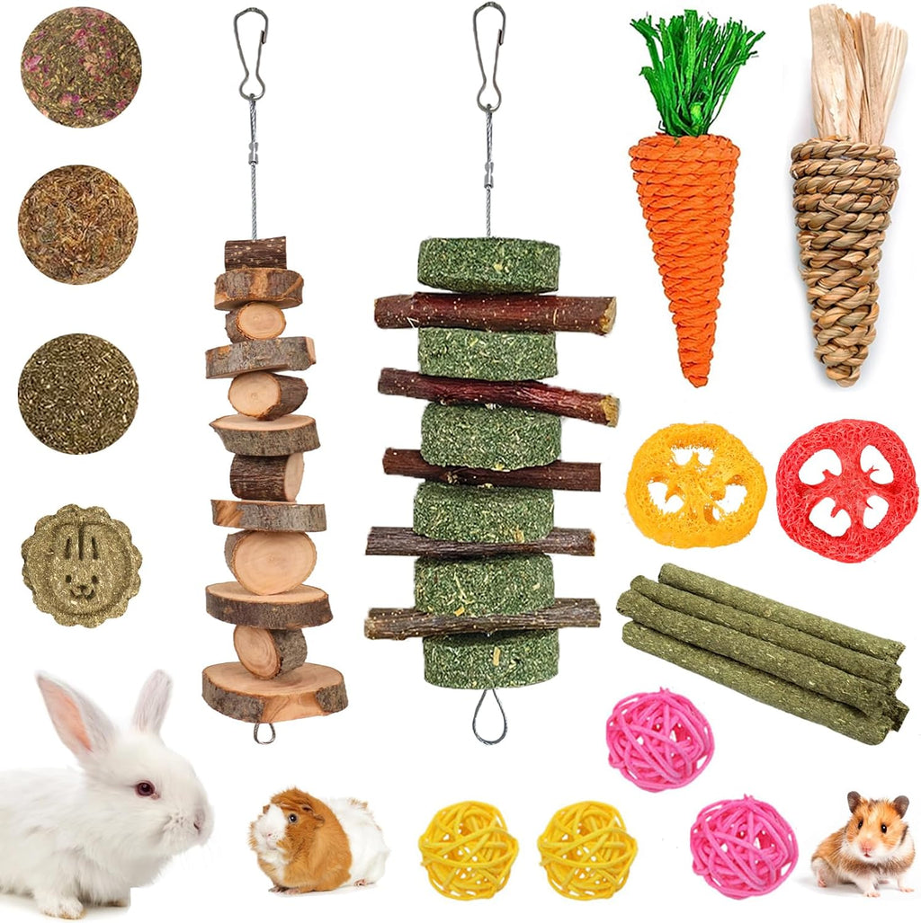 Grddaef 20 PCS Bunny Chew Toys, Apple Wood and Timothy Sticks - GlobalHabitat Supply
