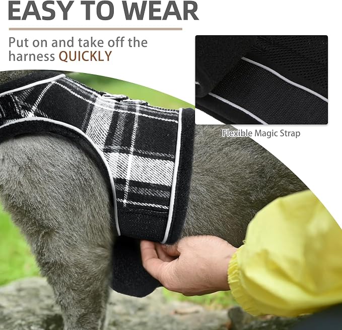 PUPTECK Soft Mesh Cat Vest Harness and Leash Set Puppy Padded Pet Harnesses - Image 5