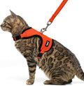 PUPTECK Cat Harness and Leash Set Escape Proof, Reflective Adjustable Soft Mesh by PUPTECK