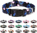 Mercano Adjustable Dog Collar by Unknown