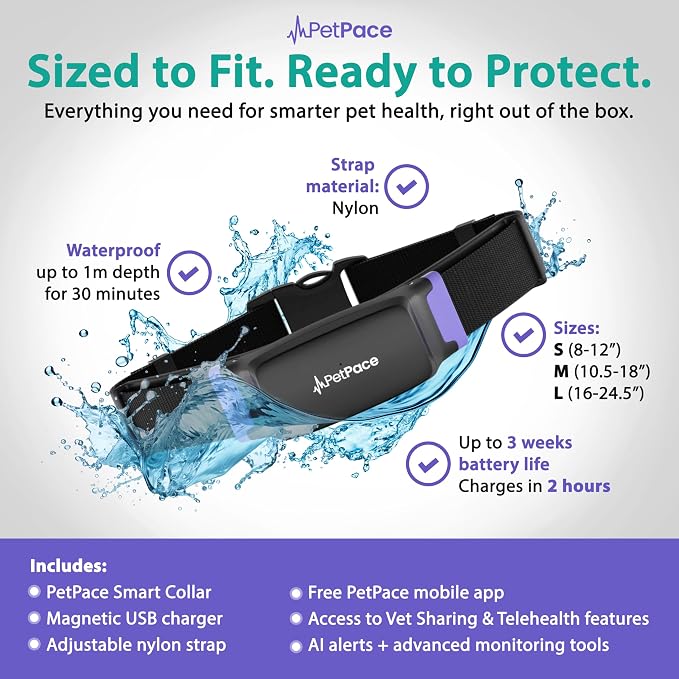 NEW Dog Health Monitor V3.0 by PetPace – AI Smart Collar - Image 4