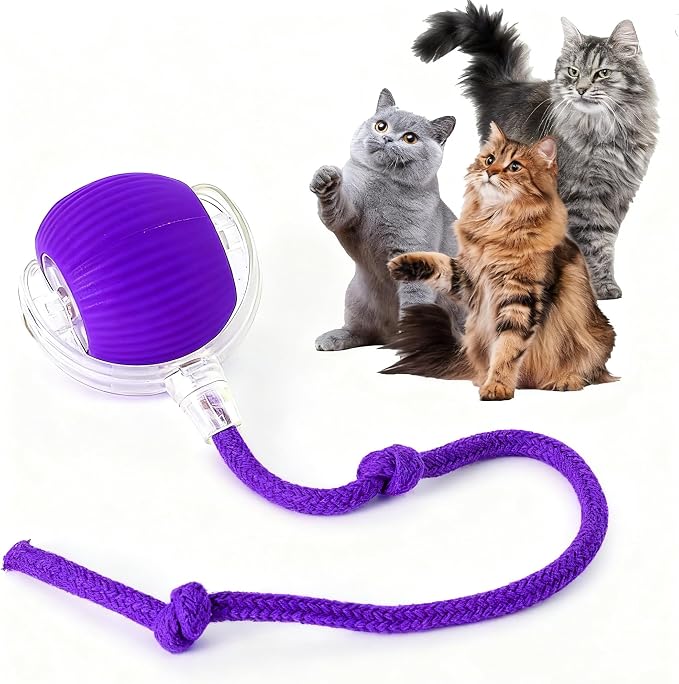 Rocfish Durable Interactive Cat Toys by Unknown