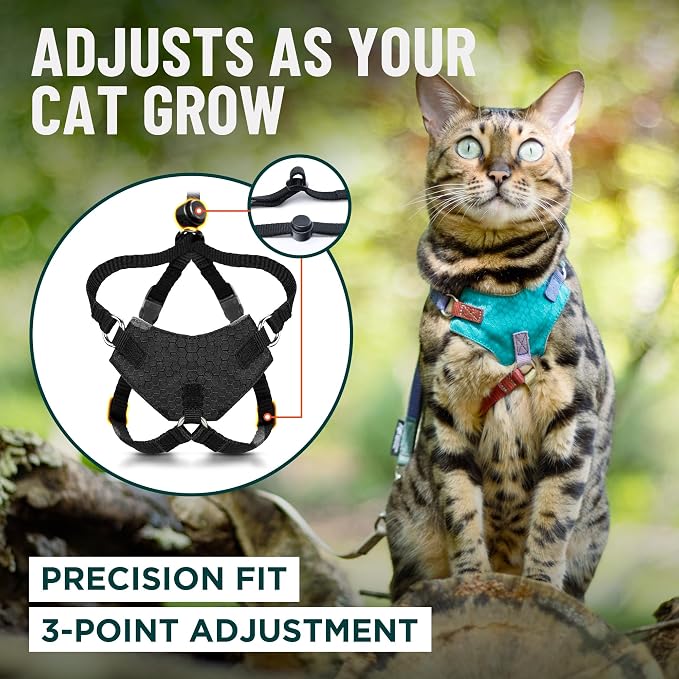 Houdini™ Escape Proof Kitten Harness and Leash Set by OutdoorBengal – Black - Image 6