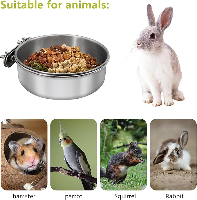 Medium+Large Bird Feeding Dish Cups, Parrot Food Bowl Cage - Image 3