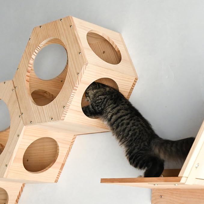 Cat Wall Shelves and Furniture Set - Image 7