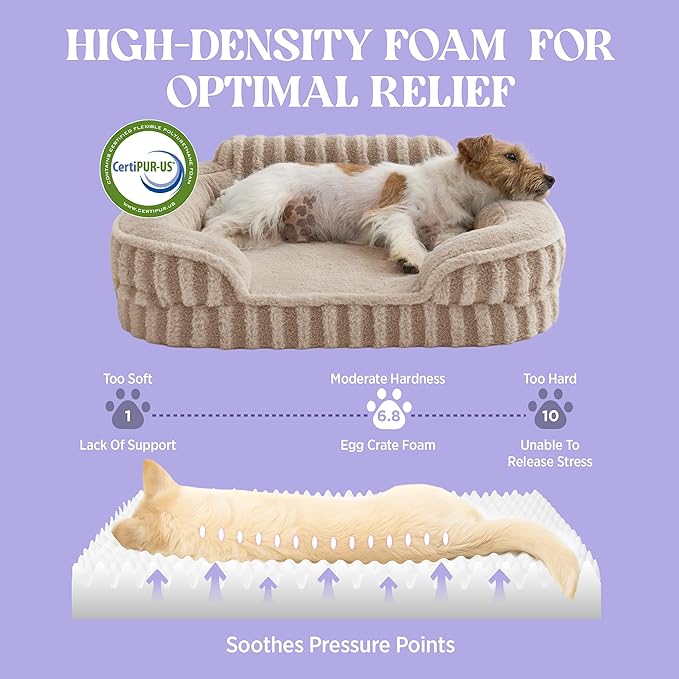 LE SURE Cute Dog Bed for Small Dogs, Orthopedic Waterproof Small Pet Beds - Image 3