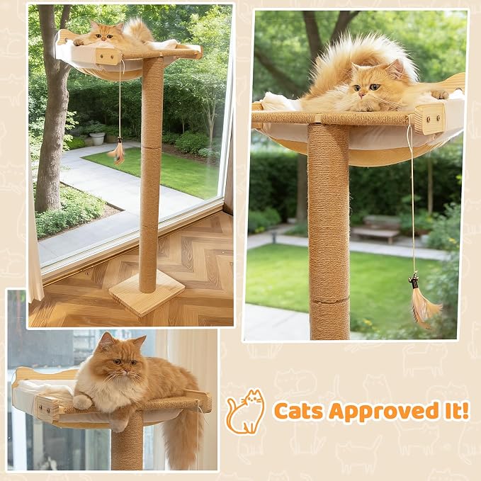 Cat Window Perch with Scratching Post, Bird Watching, Supports 45 lbs - Image 9