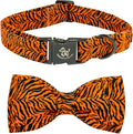 Elegant little tail Dog Collar, Tiger Print Pet Collar Fashion Boy Dog Collars by Elegantlittletail