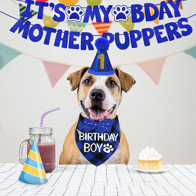 STMK Dog Birthday Decorations - Image 2