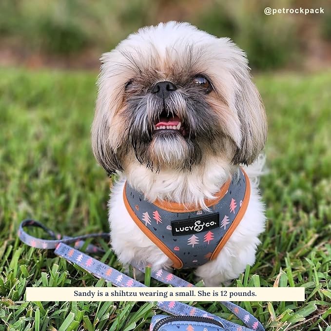Lucy & Co. Take a Hike Reversible Dog Harness - Image 3