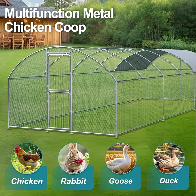 Large Chicken Coop, Chicken Coops - Image 2