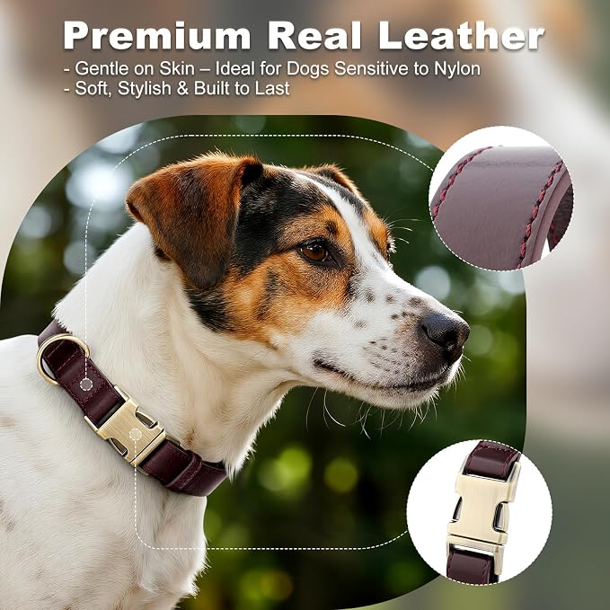 Plutus Pet Genuine Leather Dog Collar – Adjustable Pet Collar - Image 3