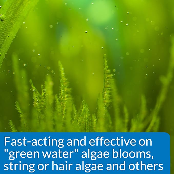 API ALGAEFIX Algae Control 1.25-Ounce Bottle - Image 3
