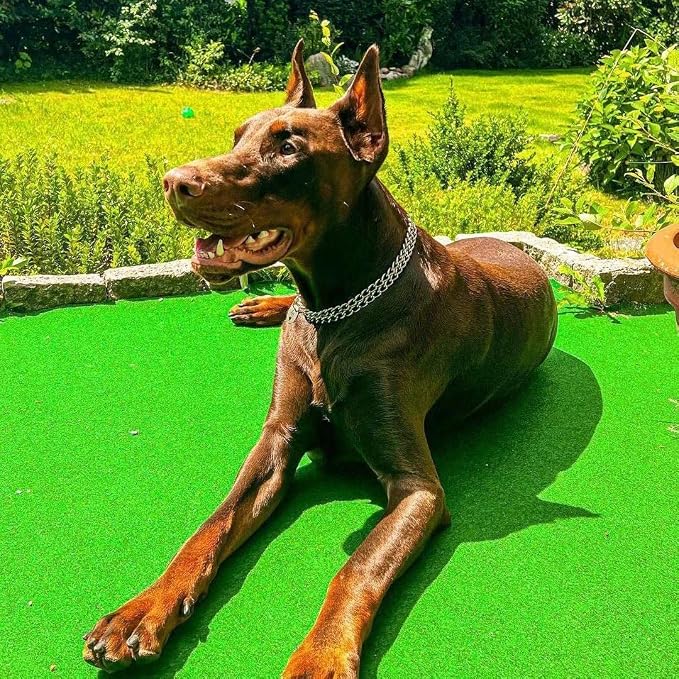 Dog Choke Martingale Collar - Image 3